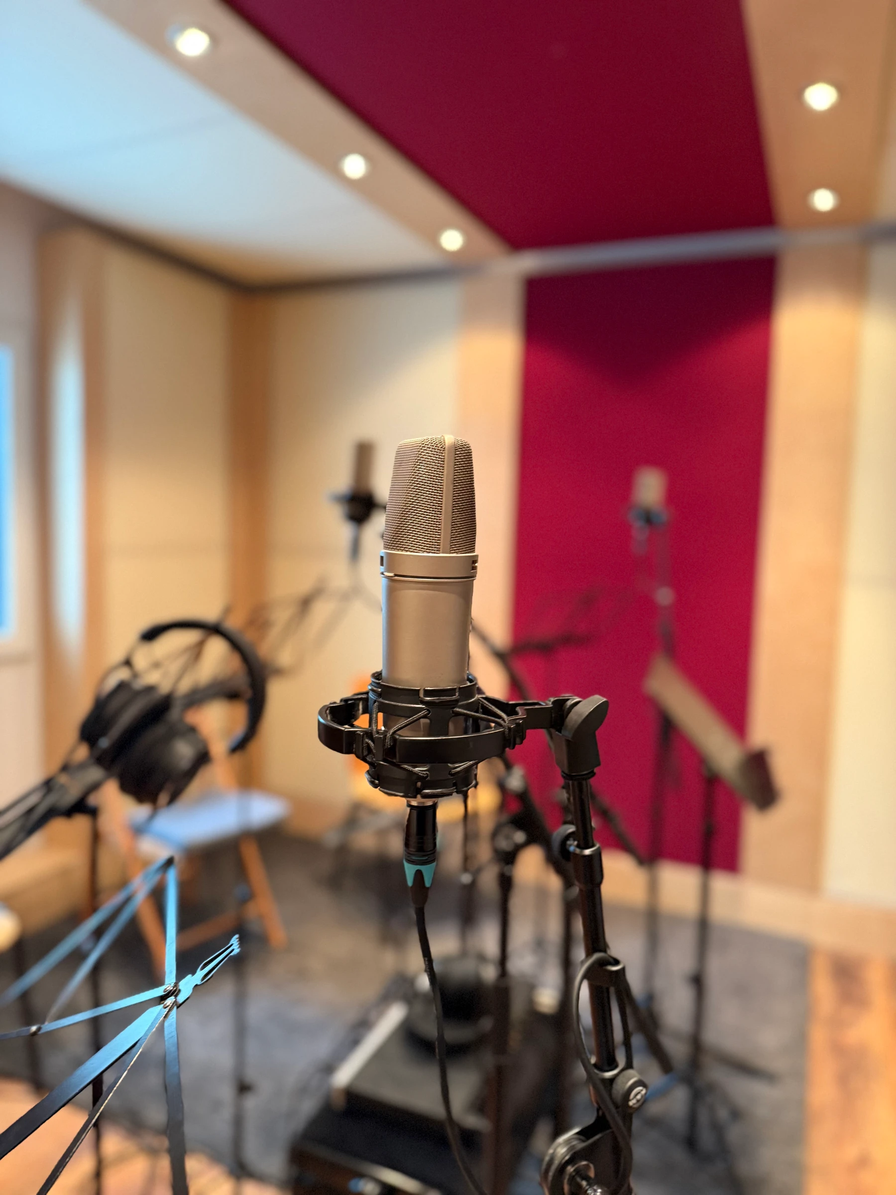 Large diaphragm condenser microphone in the live room with burgundy acoustic ceiling