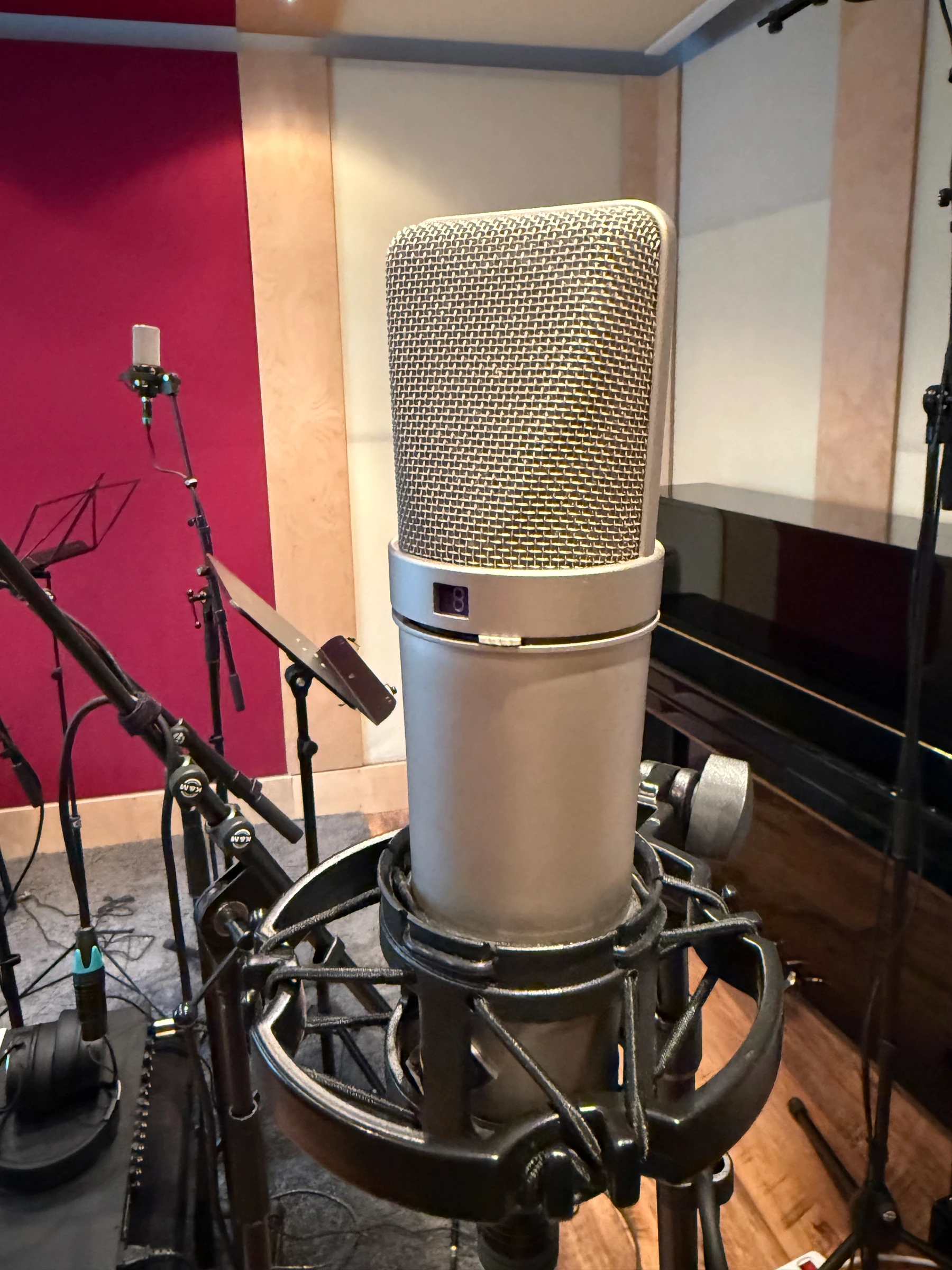 Large condenser microphone macro shot in shockmount